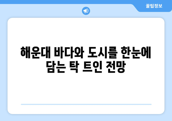 부산 해운대 코오롱 씨클라우드 호텔에서 즐기는 멋진 도시 경관 | 부산 호텔 추천, 탁 트인 전망, 럭셔리 숙박