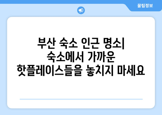 부산 숙소 완벽 가이드| 안락한 휴식을 위한 최고의 선택 | 부산 호텔 추천, 부산 게스트하우스, 부산 숙박 정보