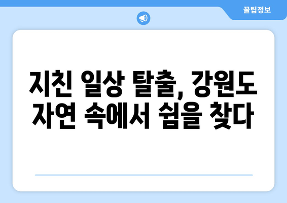 강원도 건강 여행 | 마음과 몸을 재충전하는 힐링 여정 5곳 | 자연 속에서 쉼을 찾다