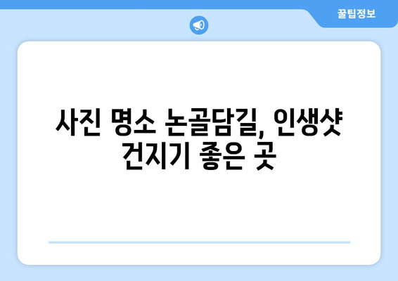 동해시 여행 필수 코스| 논골담길과 묵호등대, 숨겨진 매력을 찾아 떠나요! | 동해 가볼만한곳, 동해 여행, 논골담길, 묵호등대