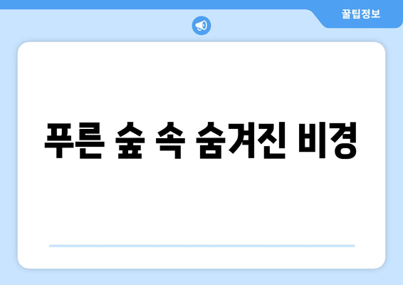 여름 비에 씻긴 관방제림| 푸르름 속 숨겨진 아름다움 | 관방제림, 여름 풍경, 비오는 날, 여행