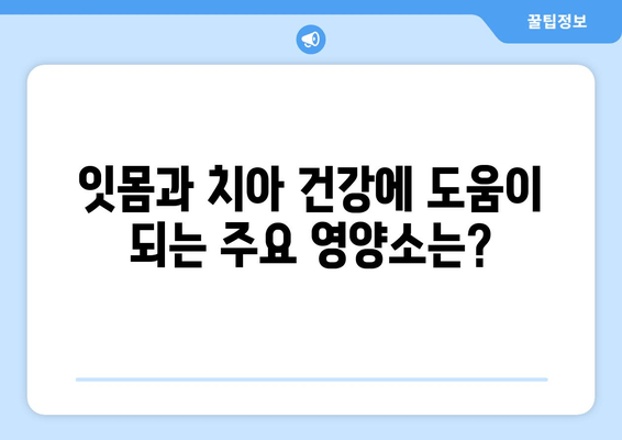 튼튼한 잇몸, 건강한 치아를 위한 영양제 선택 가이드 | 잇몸 건강, 치아 관리, 영양제 추천