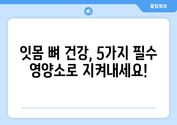 잇몸 뼈 건강을 위한 영양제| 치아 건강에 필수적인 5가지 영양소 | 잇몸 뼈, 치아 건강, 영양제, 건강 정보