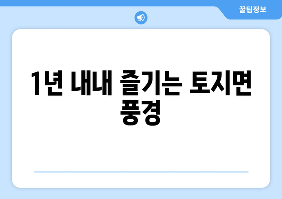 1년 내내 즐기는 토지면 풍경