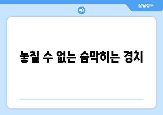 놓칠 수 없는 숨막히는 경치