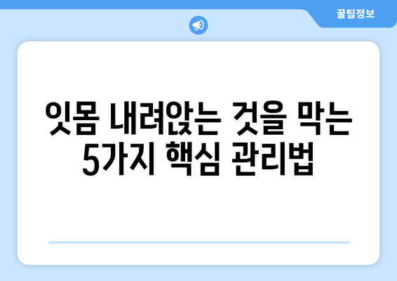 잇몸 내려앉는 것을 막는 핵심 관리법|  치아 건강 지키는 5가지 팁 | 잇몸 질환 예방, 잇몸 건강, 치주 질환