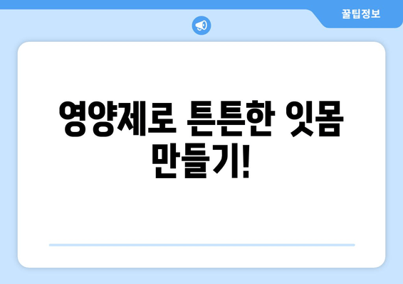 치은 건강 지키는 영양제| 잇몸 건강을 위한 필수 가이드 | 치아 건강, 잇몸 관리, 영양제 추천