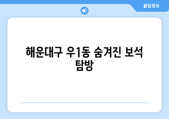 해운대구 우1동 숨겨진 보석 탐방