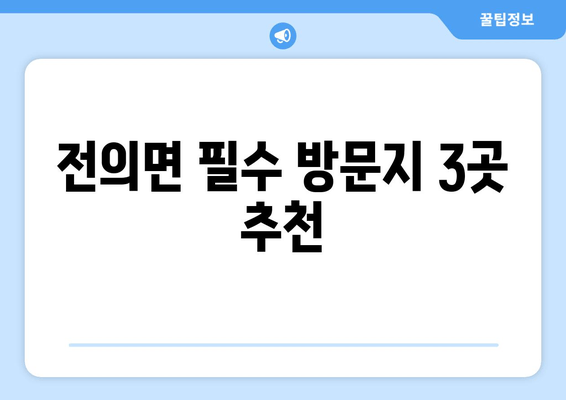 전의면 필수 방문지 3곳 추천