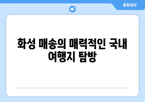 화성 매송의 매력적인 국내 여행지 탐방