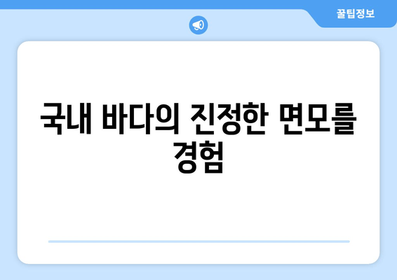 국내 바다의 진정한 면모를 경험