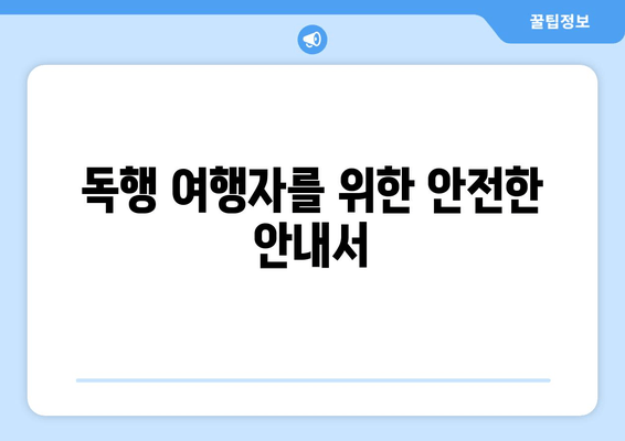 독행 여행자를 위한 안전한 안내서