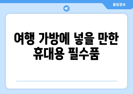 여행 가방에 넣을 만한 휴대용 필수품