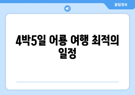 4박5일 어룡 여행 최적의 일정