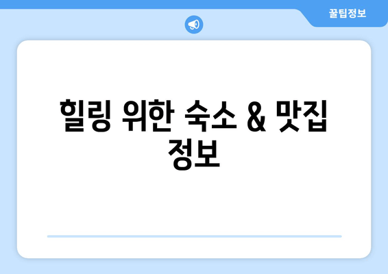 힐링 위한 숙소 & 맛집 정보