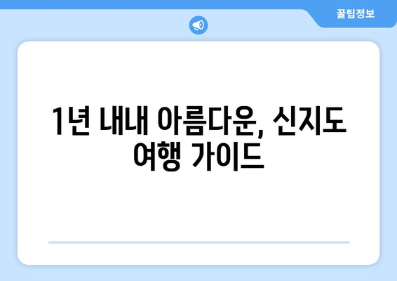 1년 내내 아름다운, 신지도 여행 가이드