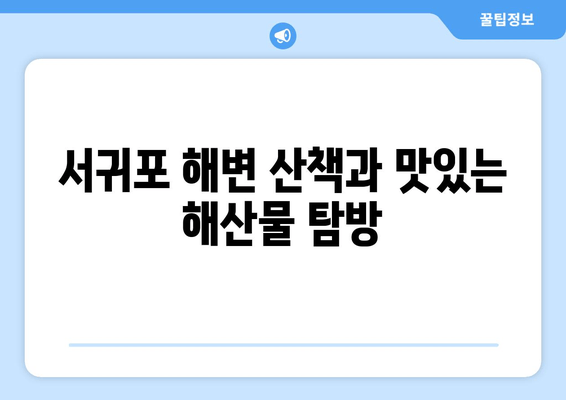 서귀포 해변 산책과 맛있는 해산물 탐방