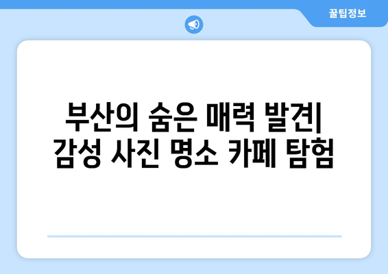 부산 사진작가를 위한 숨겨진 보석 같은 카페 5곳 | 감성 사진 명소, 분위기 좋은 카페, 스튜디오 대여