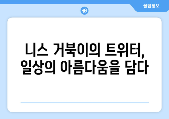 니스 거북이가 트위터에서 포착한 일상의 섬광| 잊을 수 없는 순간들 | 니스, 거북이, 트위터, 일상, 섬광, 사진, 이야기