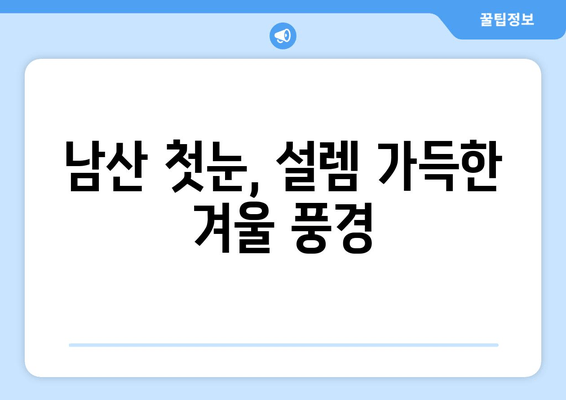 남산 새해 첫눈, 희망과 낭만을 담다 | 서울, 설경, 겨울 여행, 추억