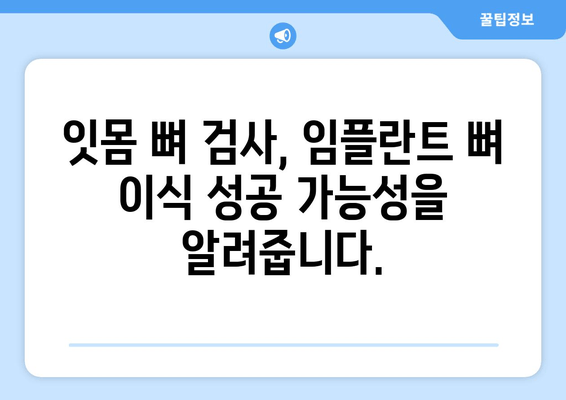 임플란트 뼈 이식 성공의 열쇠? 잇몸 뼈 상태 정확한 진단이 중요합니다! | 임플란트, 뼈 이식, 잇몸 뼈 검사, 성공률