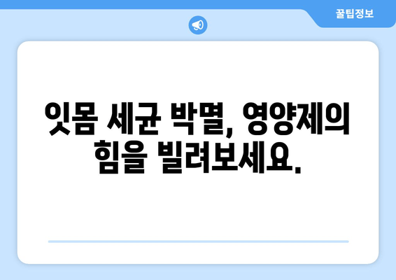 잇몸 건강 지키는 영양제 가이드| 잇몸 치료와 세균 제거에 효과적인 선택 | 잇몸 질환, 구강 관리, 영양 보충