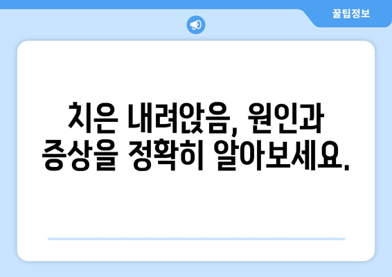 치은 내려앉음, 더 이상 걱정하지 마세요! 나에게 맞는 예방 전략 찾기 | 치주 질환, 잇몸 건강, 구강 관리