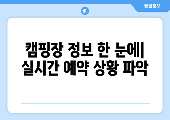 캠핑장 정보 한 눈에| 실시간 예약 상황 파악