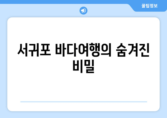 서귀포 바다여행의 숨겨진 비밀