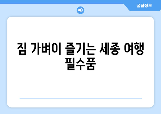 짐 가벼이 즐기는 세종 여행 필수품