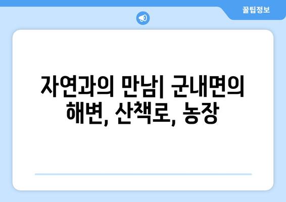 자연과의 만남| 군내면의 해변, 산책로, 농장