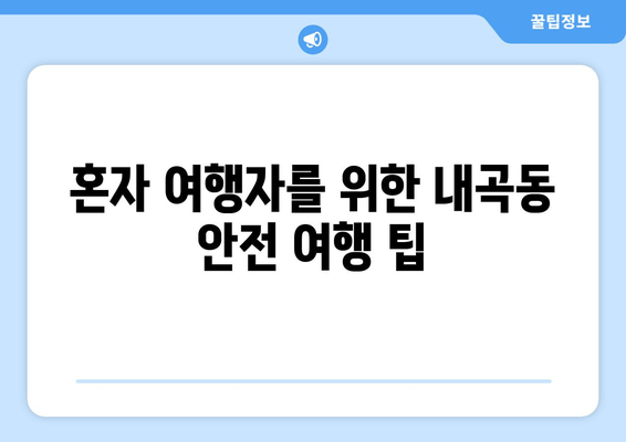 혼자 여행자를 위한 내곡동 안전 여행 팁