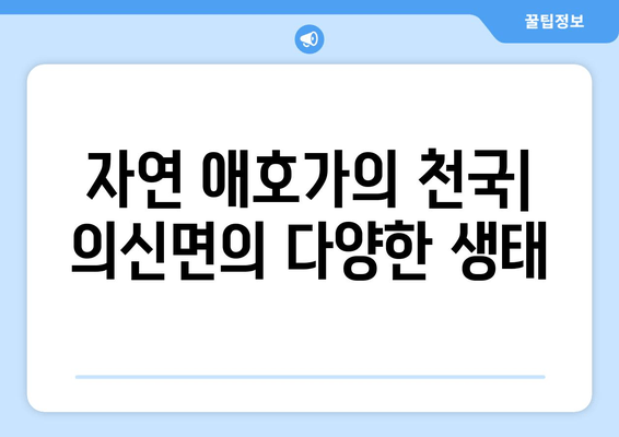 자연 애호가의 천국| 의신면의 다양한 생태