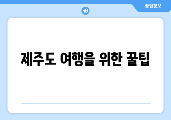 제주도 여행을 위한 꿀팁