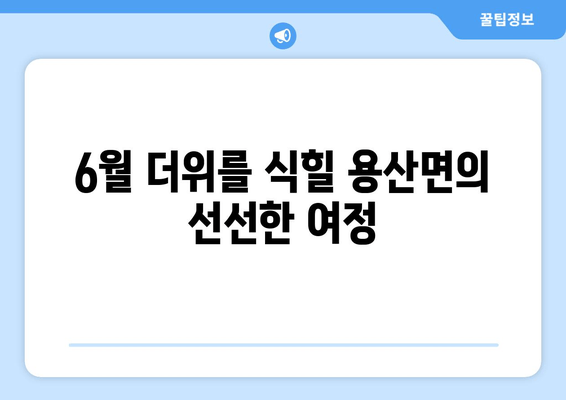 6월 더위를 식힐 용산면의 선선한 여정