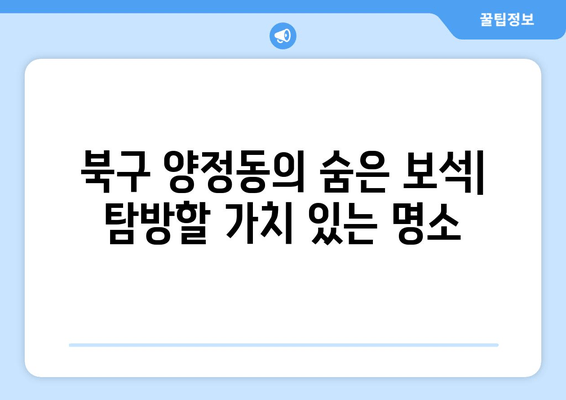 북구 양정동의 숨은 보석| 탐방할 가치 있는 명소