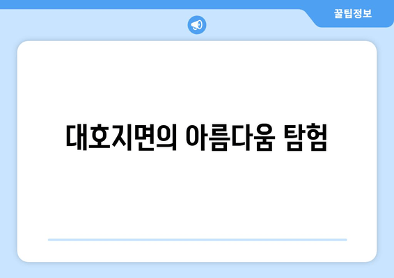 대호지면의 아름다움 탐험