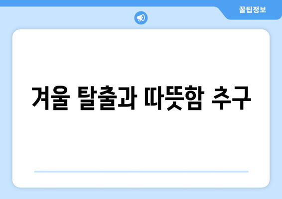 겨울 탈출과 따뜻함 추구