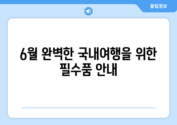 6월 완벽한 국내여행을 위한 필수품 안내