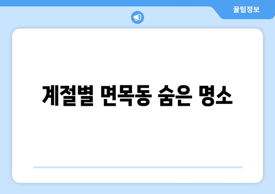 계절별 면목동 숨은 명소