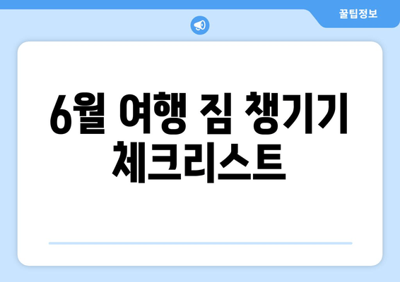 6월 여행 짐 챙기기 체크리스트