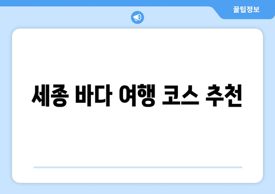 세종 바다 여행 코스 추천