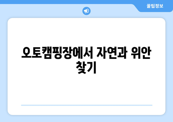 오토캠핑장에서 자연과 위안 찾기