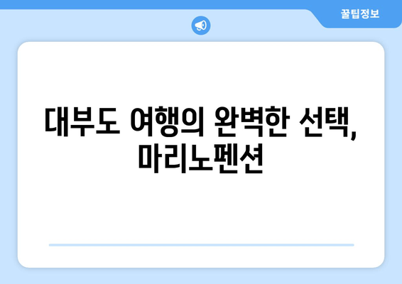 대부도 마리노펜션| 휴식과 친절함이 가득한 깔끔한 숙소 | 편안한 여행을 위한 완벽한 선택