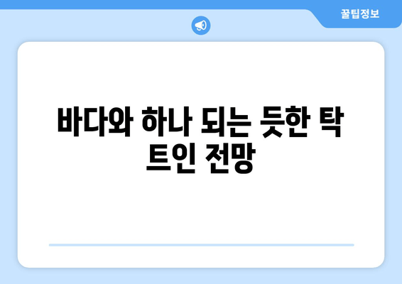 여수 노을바다 풀빌라 추천| 숨 막힐 듯 아름다운 럭셔리 휴식 | 여수 풀빌라, 노을 감상, 프라이빗 풀, 럭셔리 숙소