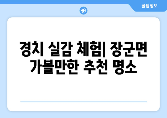 경치 실감 체험| 장군면 가볼만한 추천 명소