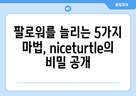 niceturtle 트위터 브랜딩 전략 분석| 성공적인 팔로워 확보를 위한 5가지 팁 | 소셜 미디어 마케팅, 브랜드 홍보, 트위터 전략