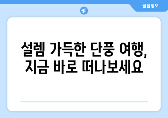 가을 단풍나무의 숨 막힐 듯한 아름다움| 한국의 단풍 명소 10곳 | 단풍 여행, 가을 여행, 국내 여행, 단풍 명소 추천