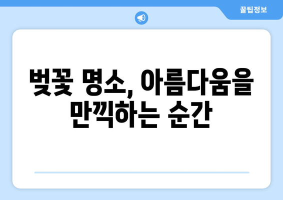 봄바람에 퍼지는 매혹적인 벚꽃 향기, 그 아름다움에 취하다 | 벚꽃, 봄, 풍경, 감성, 여행