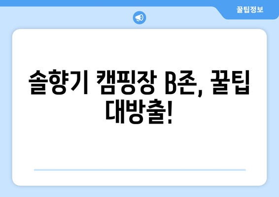 솔향기 캠핑장 B존 완벽 가이드| 시설부터 꿀팁까지 | 캠핑장 추천, B존 정보, 솔향기 캠핑